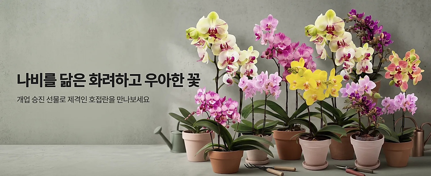 나비를 닮은 화려하고 우아한 꽃