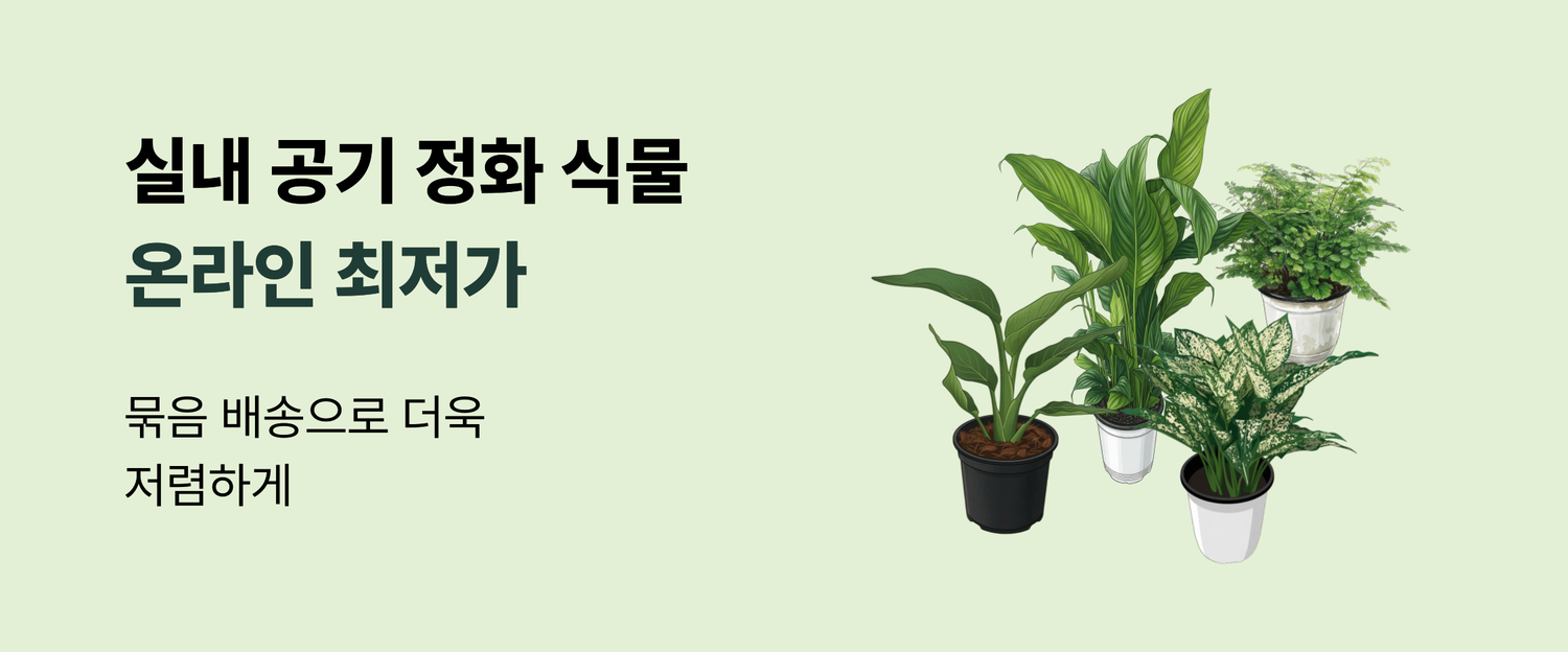 메인 배너 5