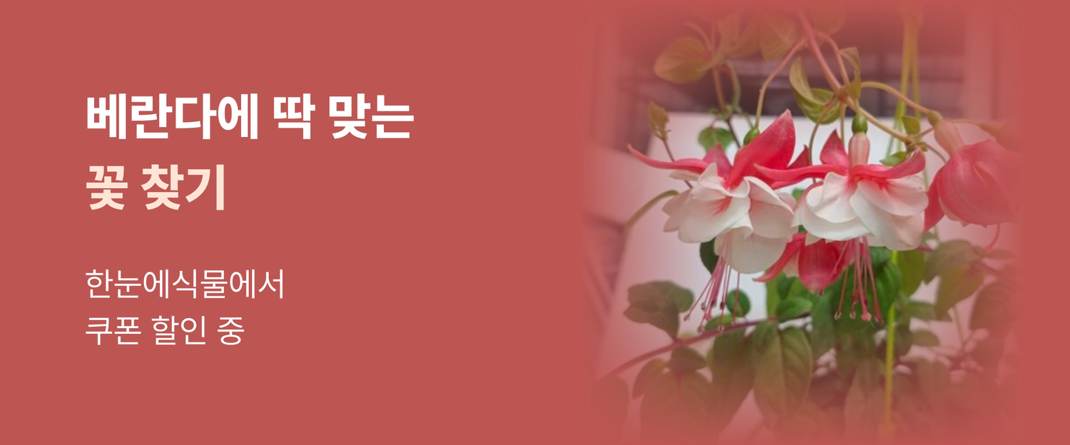 메인 배너 3