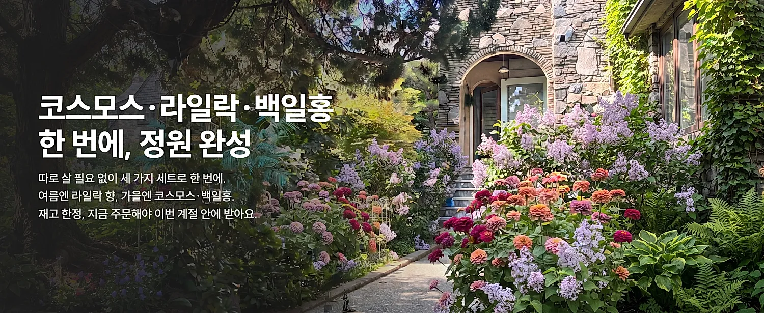 코스모스·라일락·백일홍 한 번에, 정원 완성