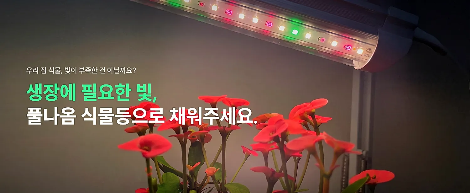 생장에 필요한 빛, 풀나옴 식물등으로 채워주세요.