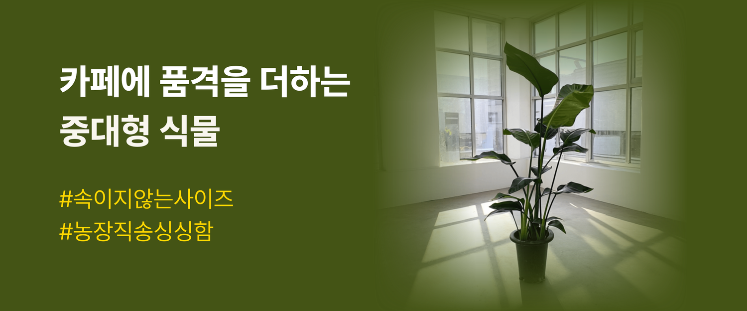 메인 배너 1