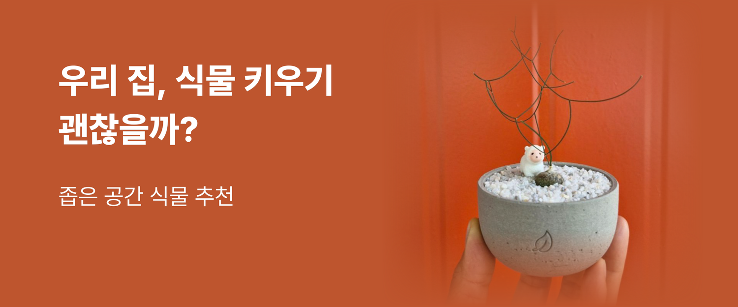 메인 배너 4