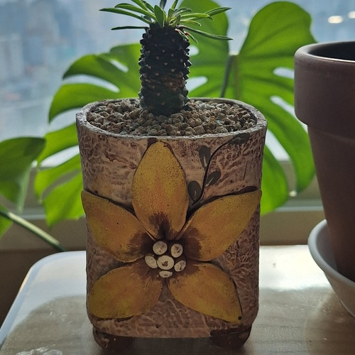괴마옥
